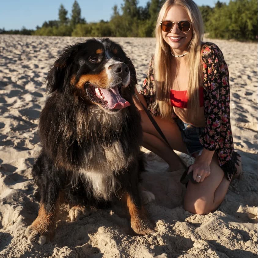 Wendisch Rietz Festjahr Background